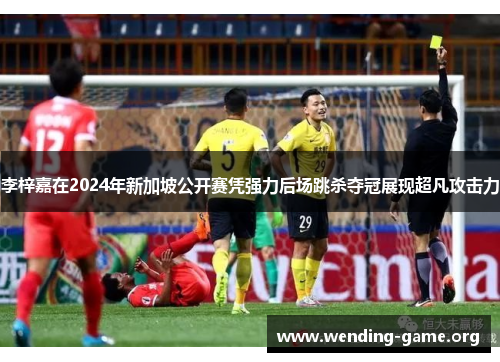 李梓嘉在2024年新加坡公开赛凭强力后场跳杀夺冠展现超凡攻击力 李梓嘉在2024年新加坡公开赛凭强力后场跳杀夺冠展现超凡攻击力