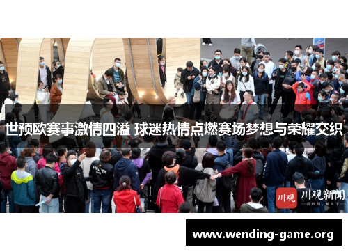 世预欧赛事激情四溢 球迷热情点燃赛场梦想与荣耀交织