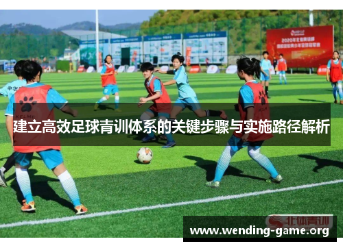 建立高效足球青训体系的关键步骤与实施路径解析
