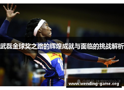 武磊金球奖之路的辉煌成就与面临的挑战解析