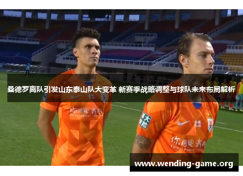 桑德罗离队引发山东泰山队大变革 新赛季战略调整与球队未来布局解析 桑德罗离队引发山东泰山队大变革 新赛季战略调整与球队未来布局解析