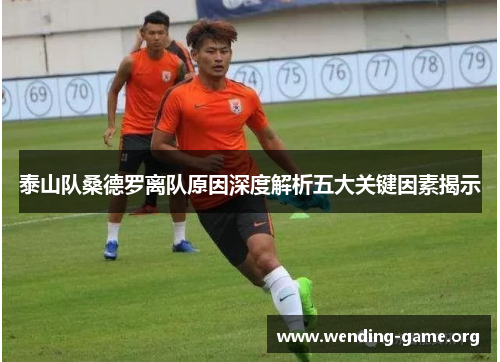 泰山队桑德罗离队原因深度解析五大关键因素揭示 泰山队桑德罗离队原因深度解析五大关键因素揭示