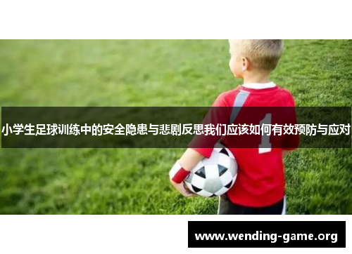 小学生足球训练中的安全隐患与悲剧反思我们应该如何有效预防与应对