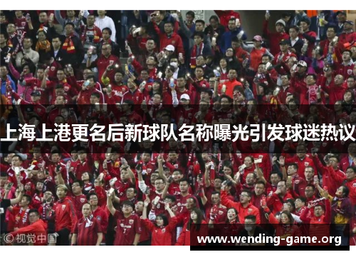 上海上港更名后新球队名称曝光引发球迷热议