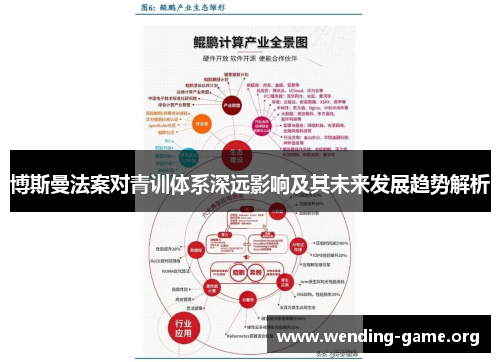 博斯曼法案对青训体系深远影响及其未来发展趋势解析