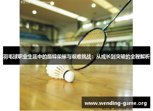 羽毛球职业生涯中的巅峰荣耀与艰难挑战:从成长到突破的全程解析 羽毛球职业生涯中的巅峰荣耀与艰难挑战:从成长到突破的全程解析