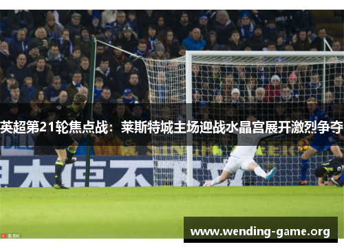 英超第21轮焦点战:莱斯特城主场迎战水晶宫展开激烈争夺 英超第21轮焦点战:莱斯特城主场迎战水晶宫展开激烈争夺
