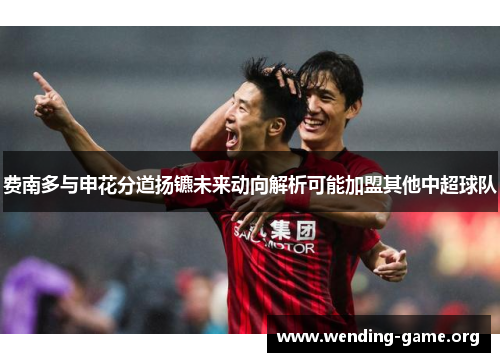 费南多与申花分道扬镳未来动向解析可能加盟其他中超球队