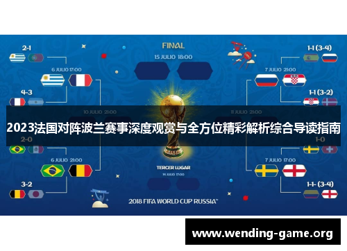 2023法国对阵波兰赛事深度观赏与全方位精彩解析综合导读指南 2023法国对阵波兰赛事深度观赏与全方位精彩解析综合导读指南